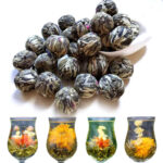 Different varieties of green tea ball