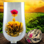 Flower blooming tea-only for you
