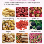 American ginseng red date longan wolfberry rose tea