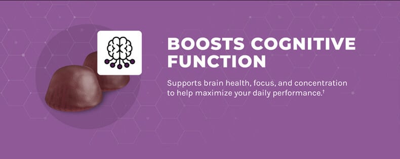mushroom gummies for focus